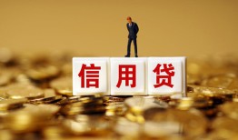 东莞短借哪有个人借贷-东莞短借小额贷款公司-东莞短借私借空放免费上门