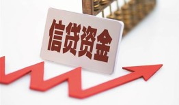 东莞短借身份证贷款平台-东莞短借贷款只要身份证贷款-东莞短借空放贷款
