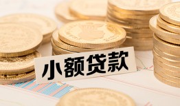 东莞短借身份证贷款平台-东莞短借私人借贷不查征信-东莞短借空放借钱